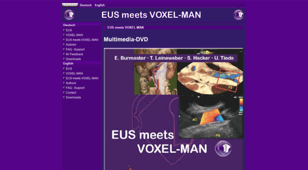 eus-meets-voxel-man.de