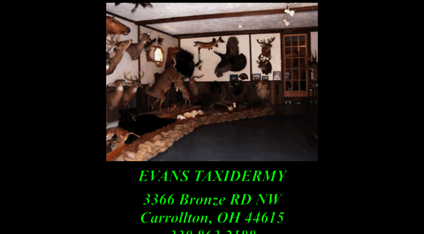 evanstaxidermy.com