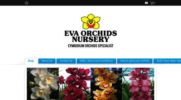 evaorchids.co.nz