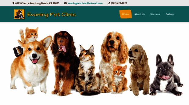 eveningpetclinic.com