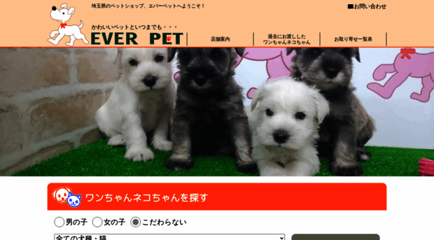 ever-pet.com