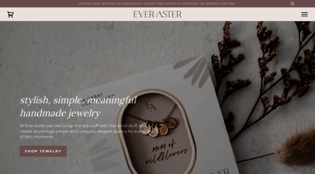 everaster.com