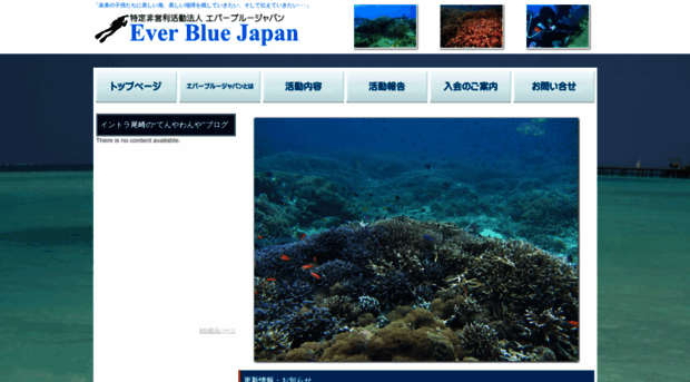 everbluejapan.jp