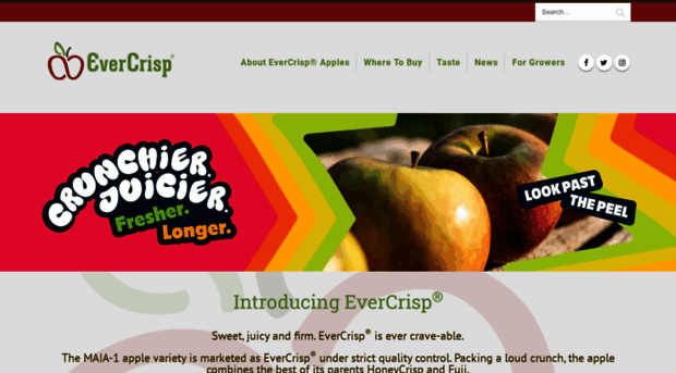 evercrispapple.com