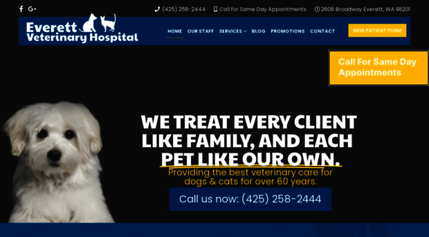 everettvet.com