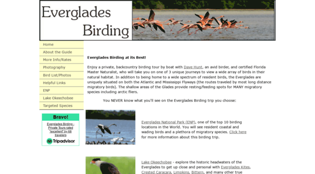 evergladesbirding.com