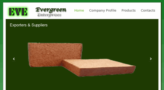 evergreen-enterprises.in