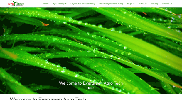 evergreenagri.com