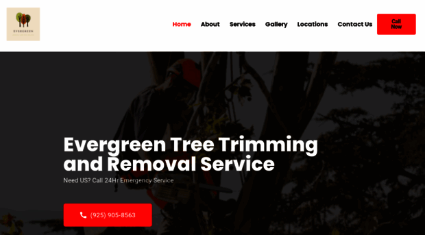 evergreenarboristtreeservice.com