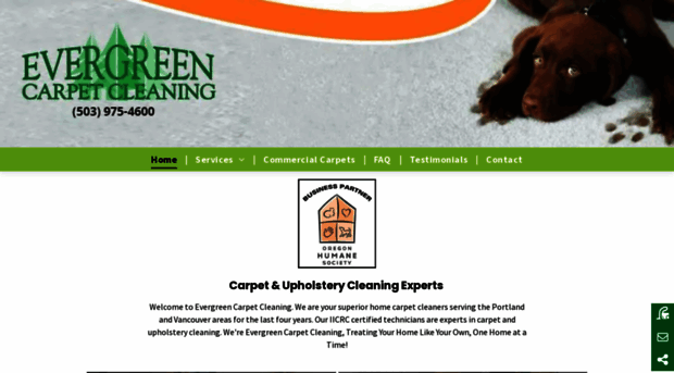 evergreencarpetsnw.com