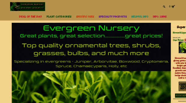 evergreenplantnursery.com