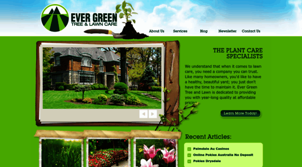 evergreentreelawn.com