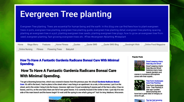 evergreentreeplanting.blogspot.com