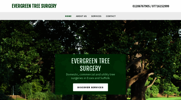 evergreentreesurgery.com