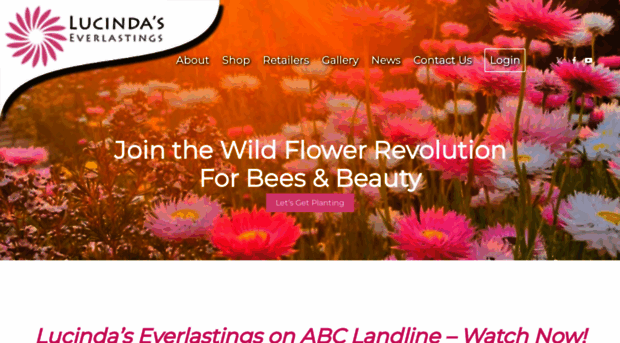 everlastings.com.au