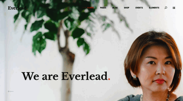 everlead.mikado-themes.com