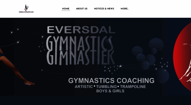 eversdalgymnastics.com