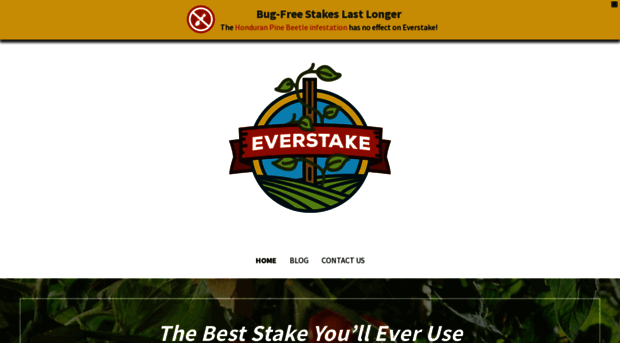 everstake.com