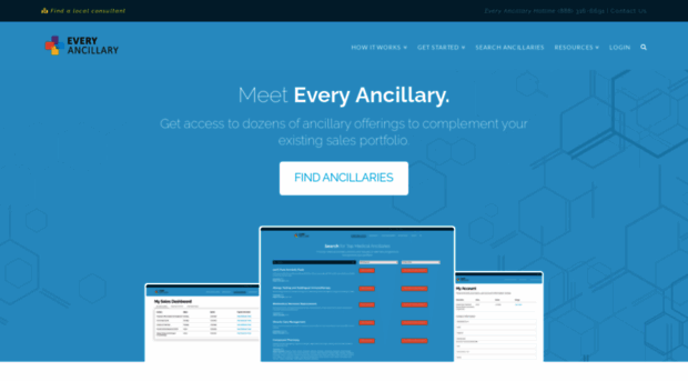 everyancillary.com