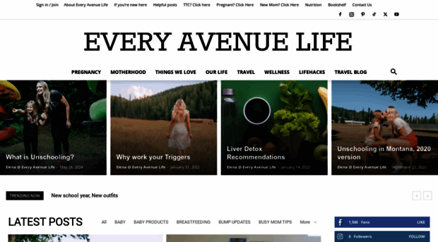 everyavenuelife.com