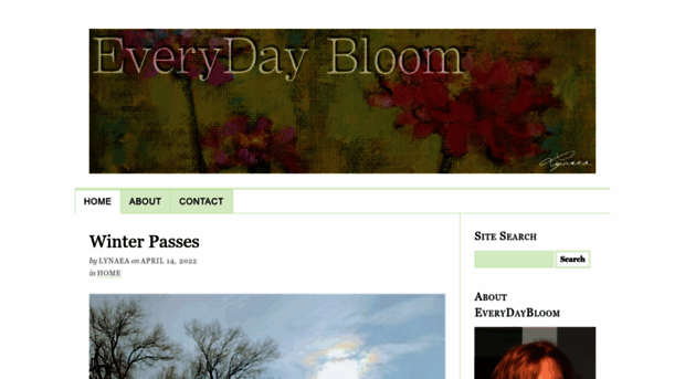 everydaybloom.com