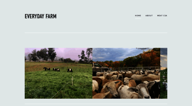 everydayfarmgill.com