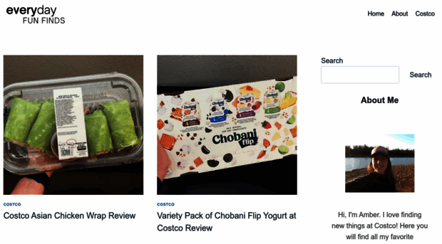 everydayfunfinds.com