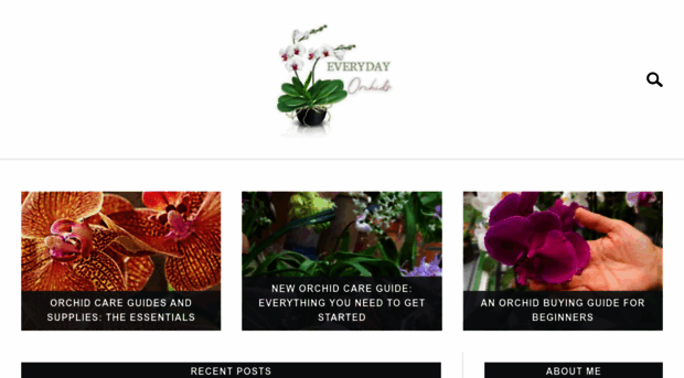 everydayorchids.com