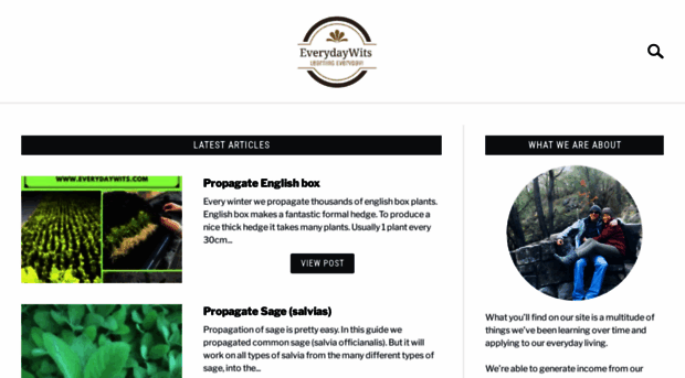 everydaywits.com