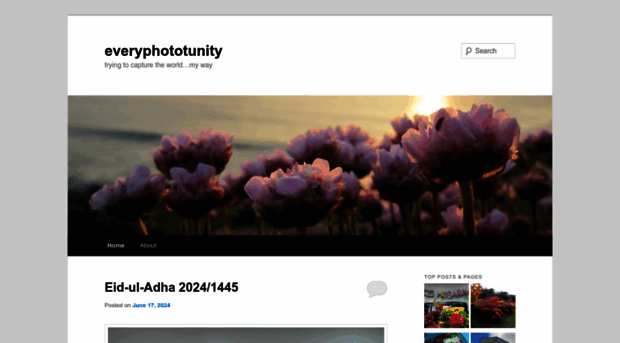 everyphototunity.com