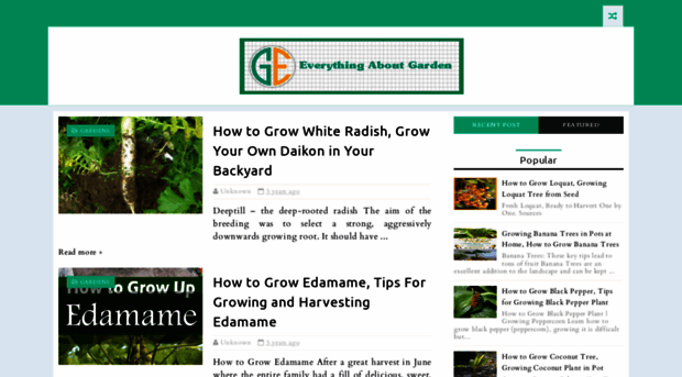 everythingaboutgarden.blogspot.com