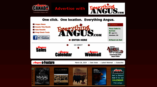 everythingangus.com