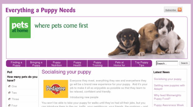 everythingapuppyneeds.co.uk