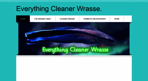 everythingcleanerwrasse.weebly.com