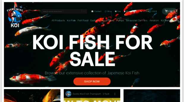 everythingkoi.com