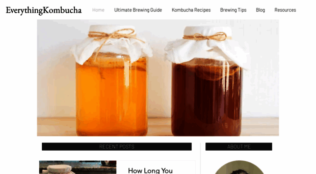 everythingkombucha.com