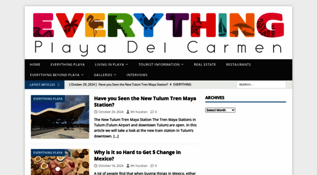 everythingplayadelcarmen.com