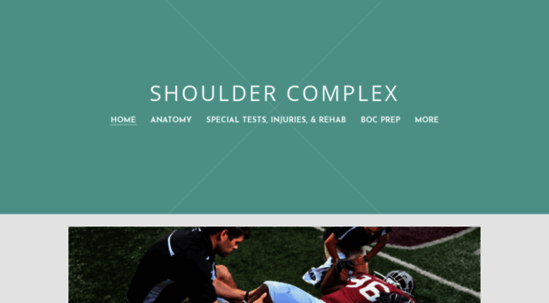 everythingshoulder.weebly.com