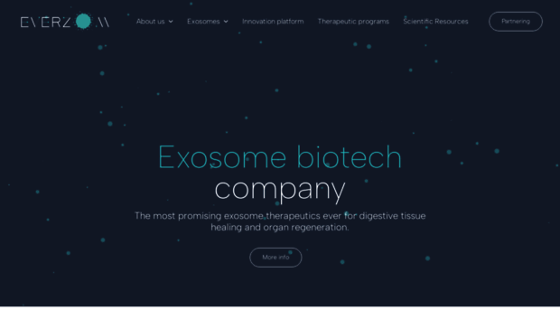 everzom.com