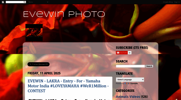 evewinphoto.blogspot.com