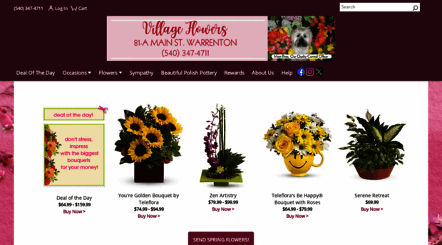 evillageflowers.com