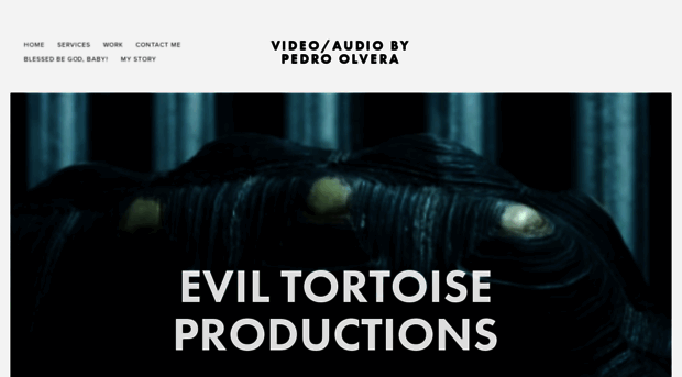 eviltortoise.com