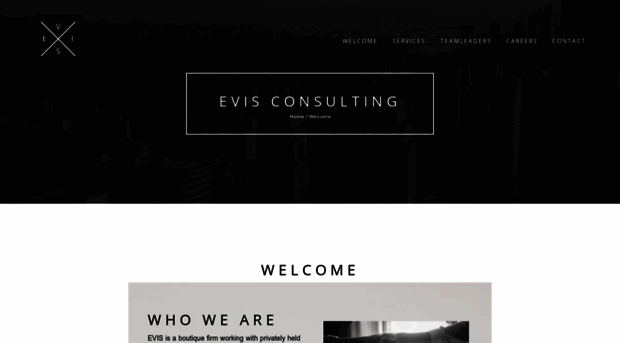 evis.consulting