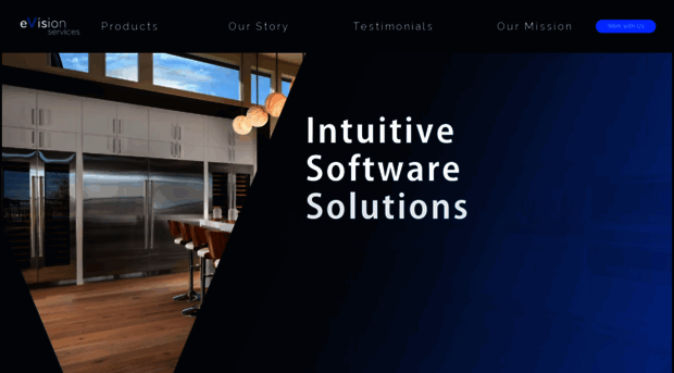 evisionservices.com