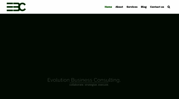 evobusinessconsulting.com