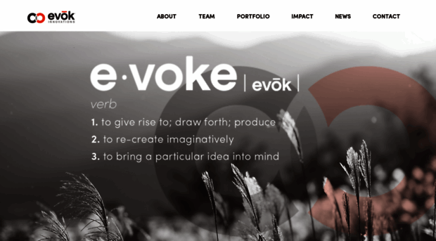 evokinnovations.com