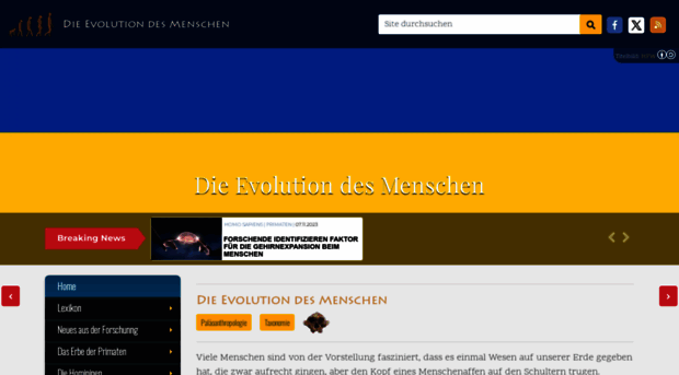 evolution-mensch.de