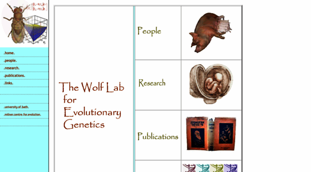 evolutionarygenetics.org