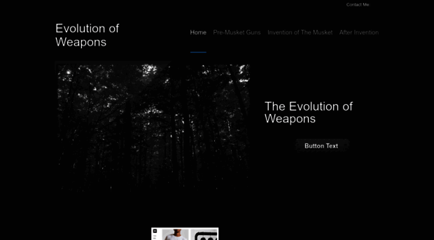 evolutionofweapon.weebly.com