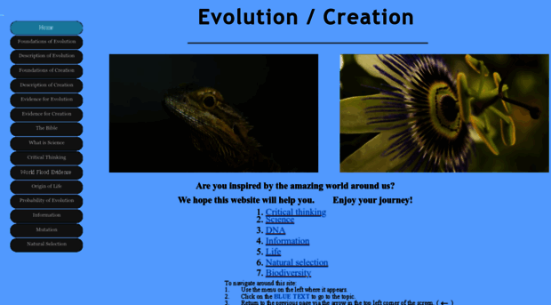 evolutionorcreation.com